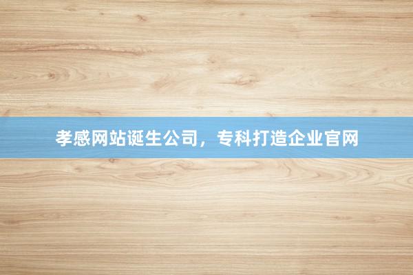 孝感网站诞生公司，专科打造企业官网